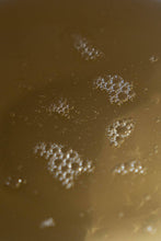 Load image into Gallery viewer, HAND SOAP