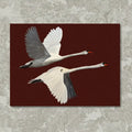 Way of Swans Art Print