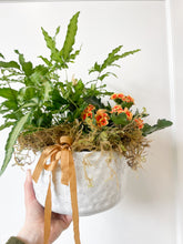 Load image into Gallery viewer, Assorted Planter