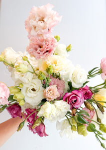 Dozen Local Lisianthus