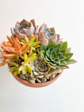 Load image into Gallery viewer, Succulent Pot