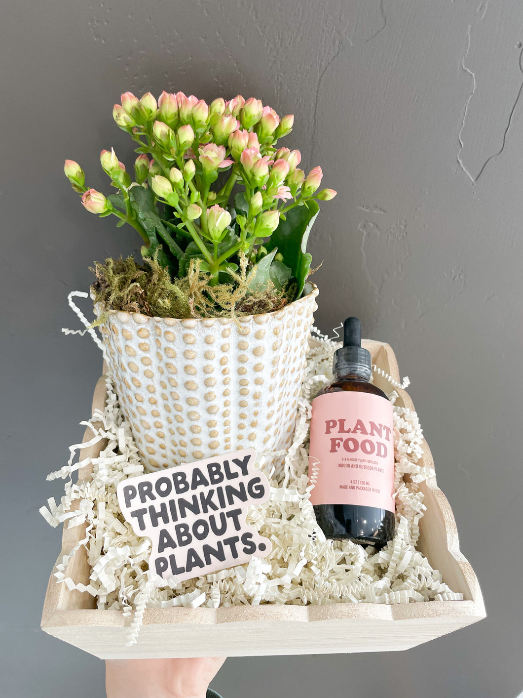 Plant Mom Gift Box