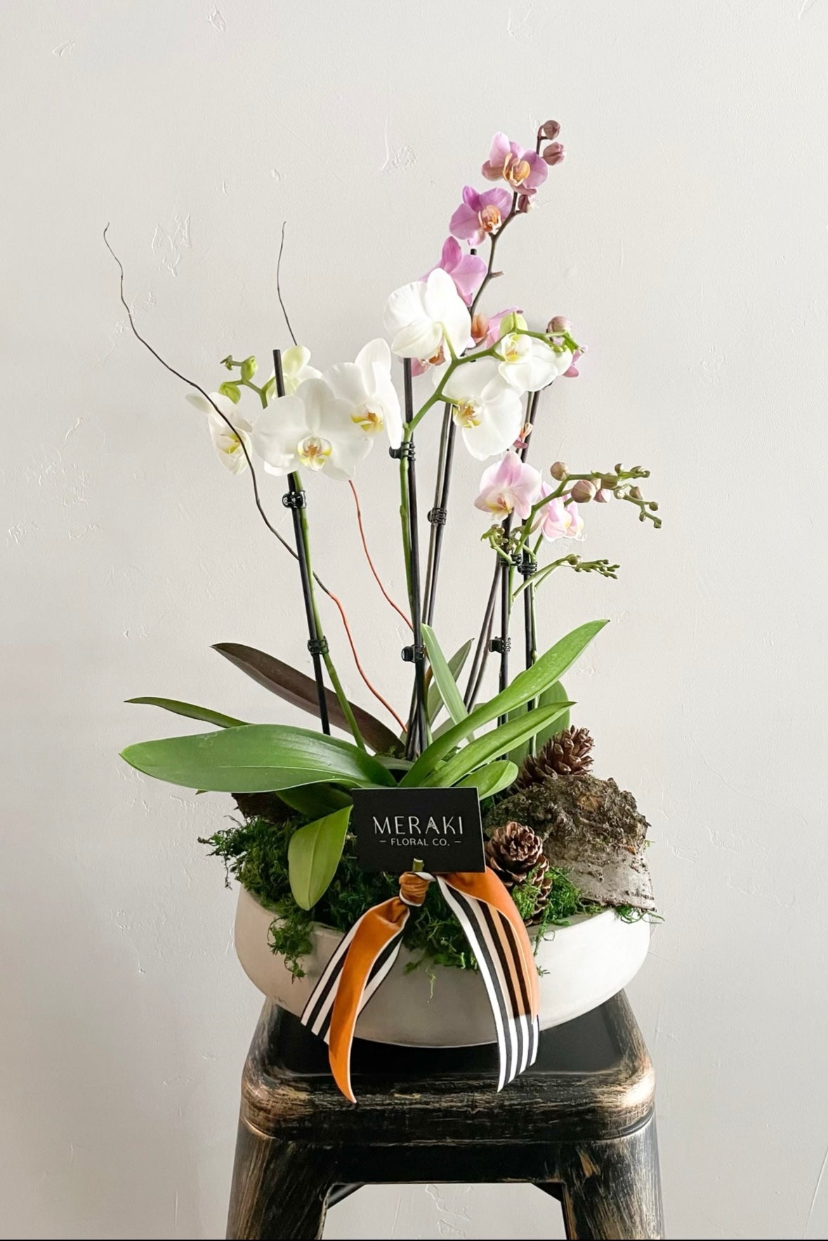Orchid Planter