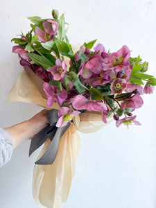 Local Hellebore Wrap