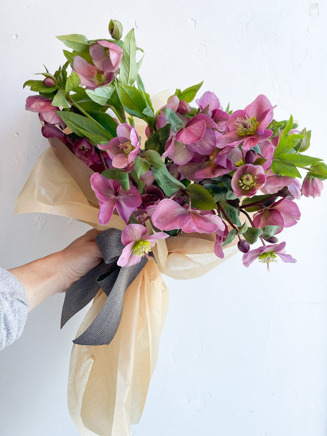 Local Hellebore Wrap