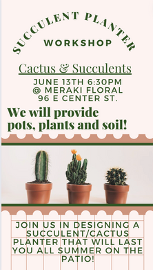 Succulent Planter Workshop June 13th