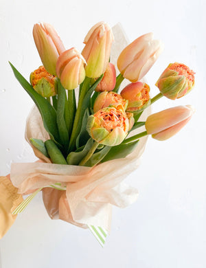 Tulip Bundle